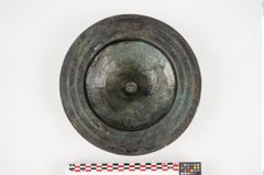 Foto von Bronzephalere (NHMW-PRAE-025108)